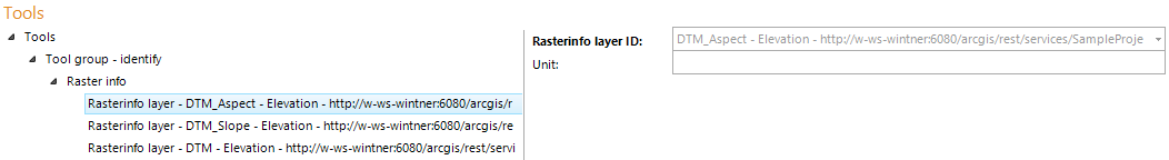 Raster info layer configuration