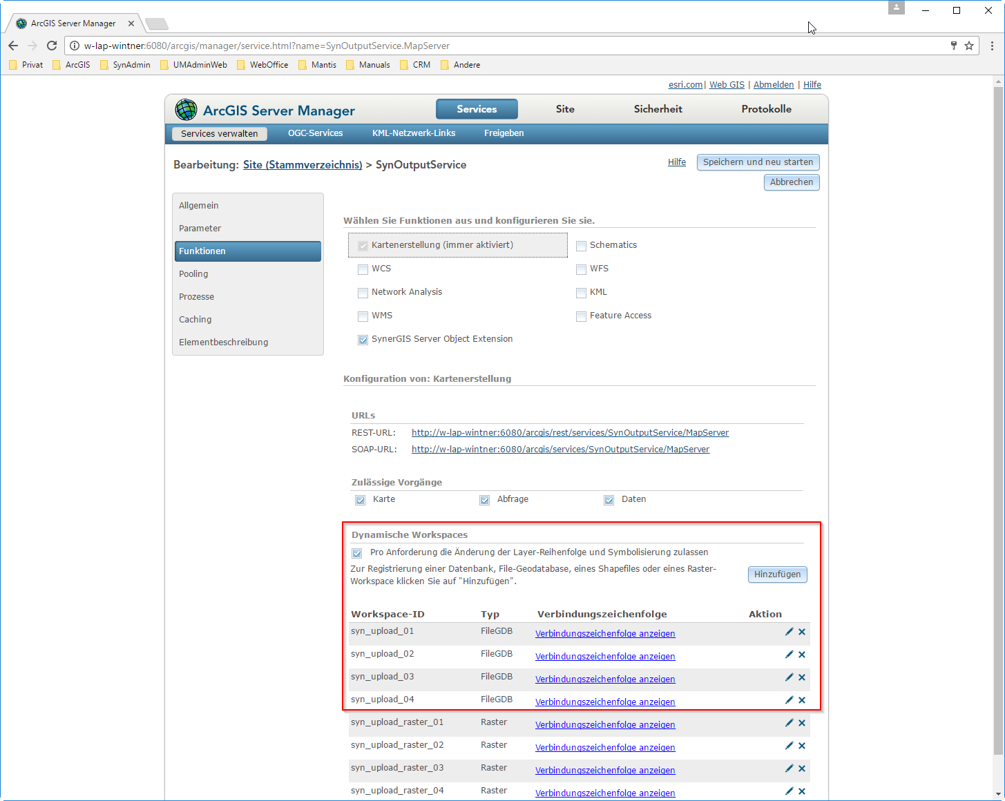 wo_Publish_SynOutputService_auto4