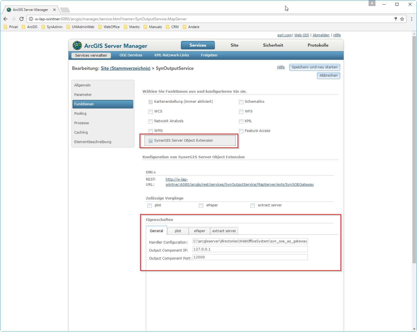 wo_Publish_SynOutputService_auto5